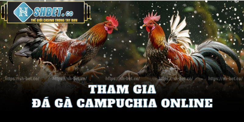 Tham Gia Đá Gà Campuchia Online