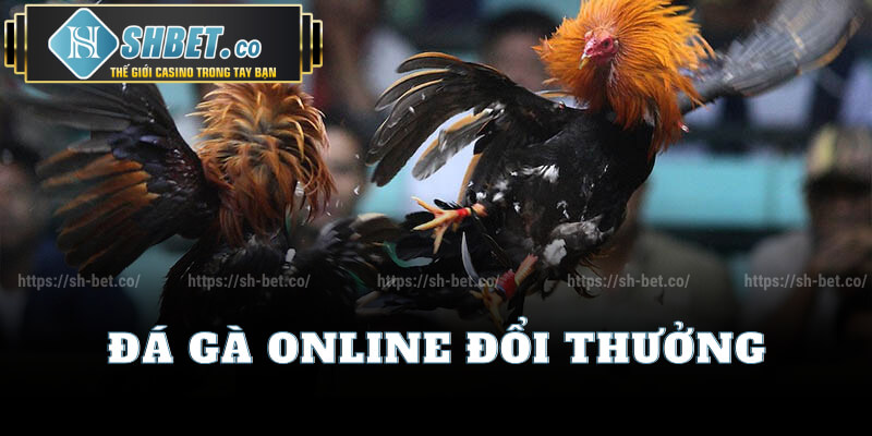 Đá Gà Online Đổi Thưởng