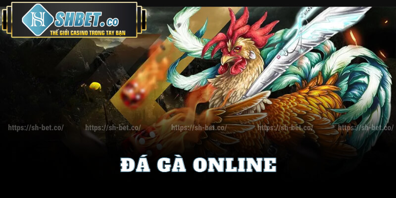 Trực Tiếp Đá Gà Online