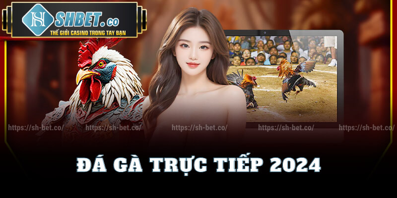 Trực Tiếp Đá Gà Năm 2024