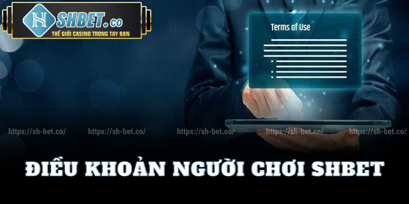 Điều Khoản Người Chơi Shbet